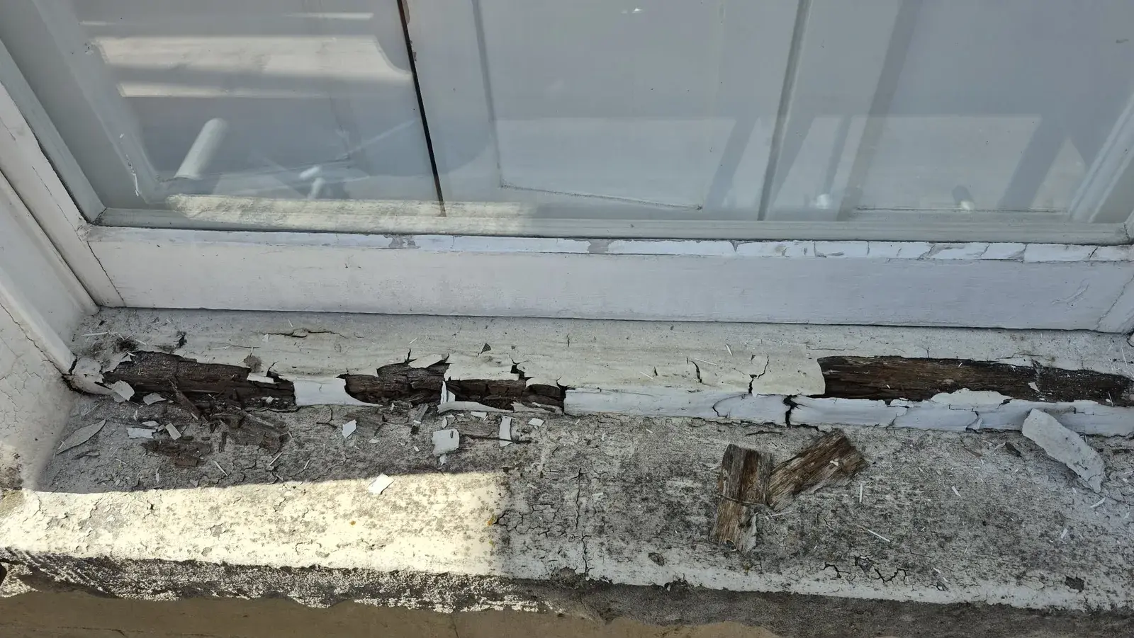 Rotten timber sill with flaking paint on a Georgian sash window before repair, Bath